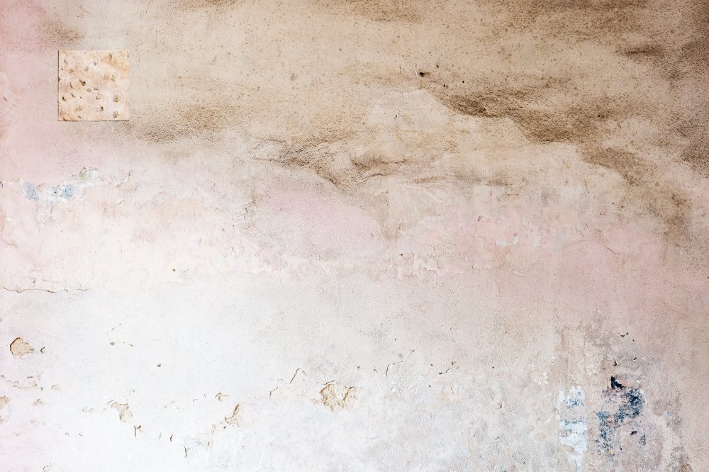 Edition Eberbach — NIC HAY PHOTOGRAPHY