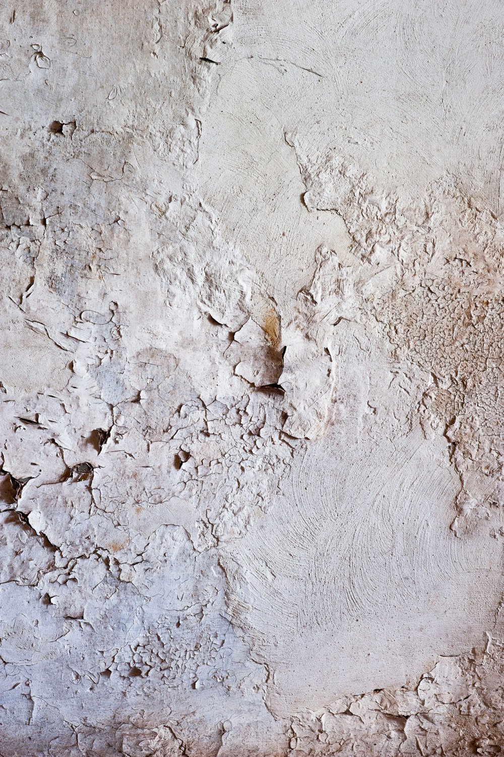Edition Eberbach — NIC HAY PHOTOGRAPHY