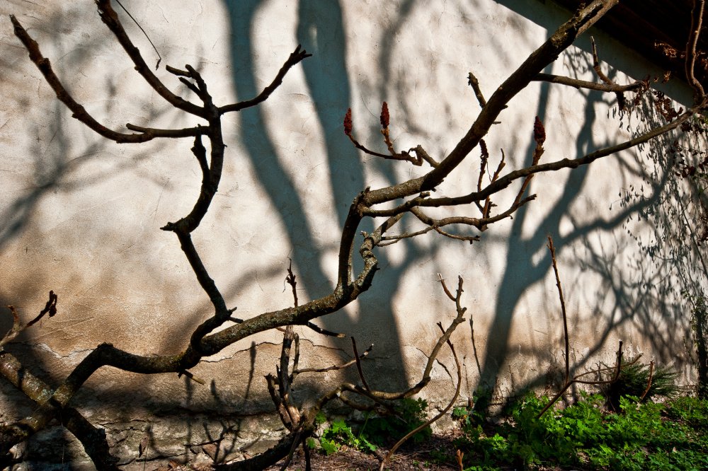 Edition Eberbach — NIC HAY PHOTOGRAPHY