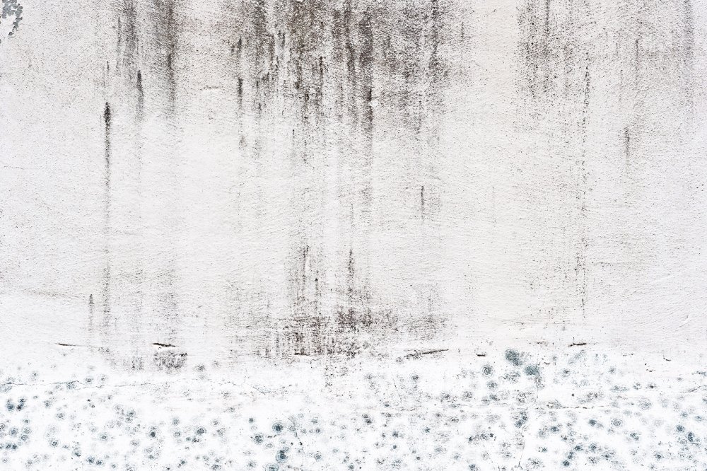 Edition Eberbach — NIC HAY PHOTOGRAPHY