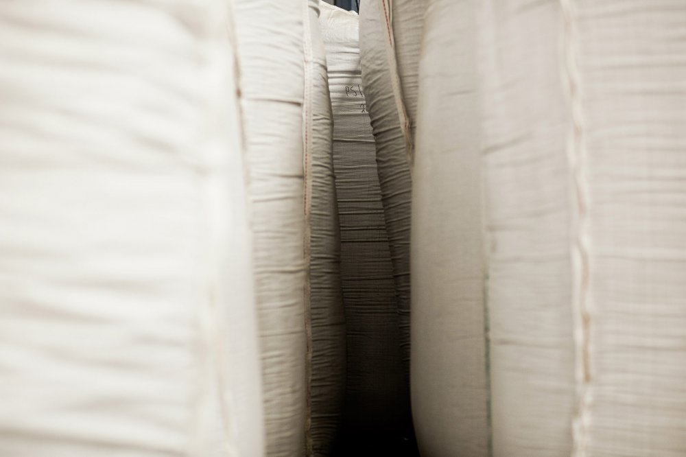 Wasa — NIC HAY PHOTOGRAPHY