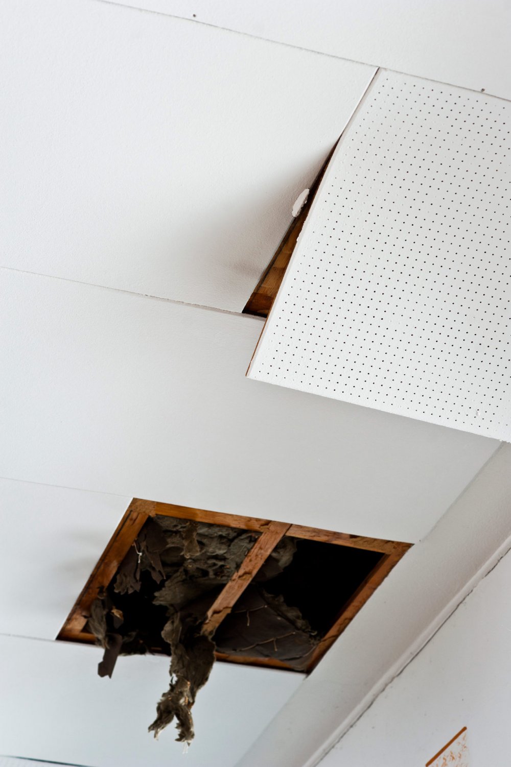 Waechtersbacher Keramik — NIC HAY PHOTOGRAPHY