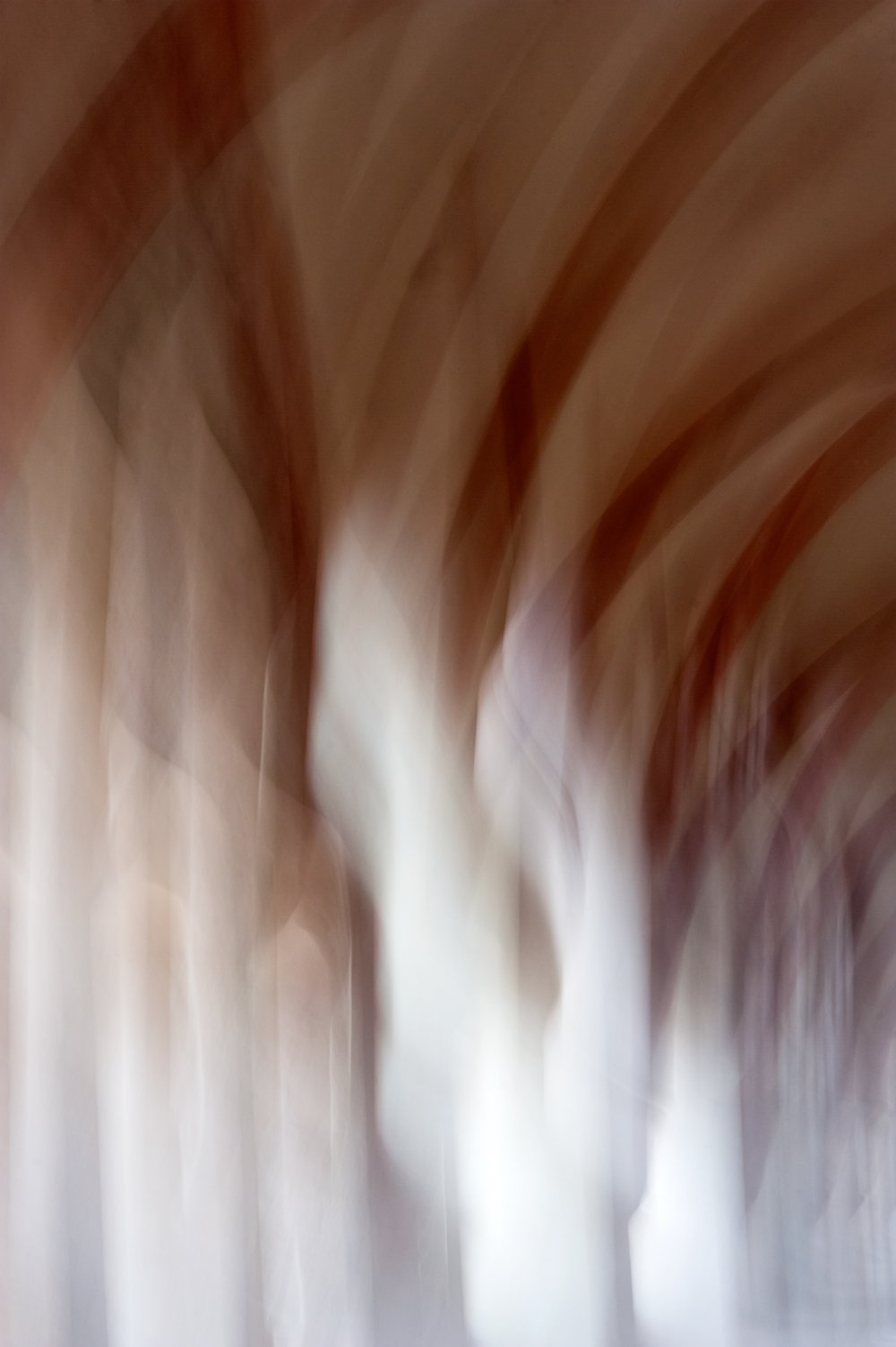 Edition Eberbach — NIC HAY PHOTOGRAPHY