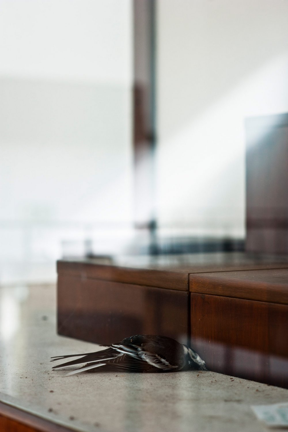 Waechtersbacher Keramik — NIC HAY PHOTOGRAPHY
