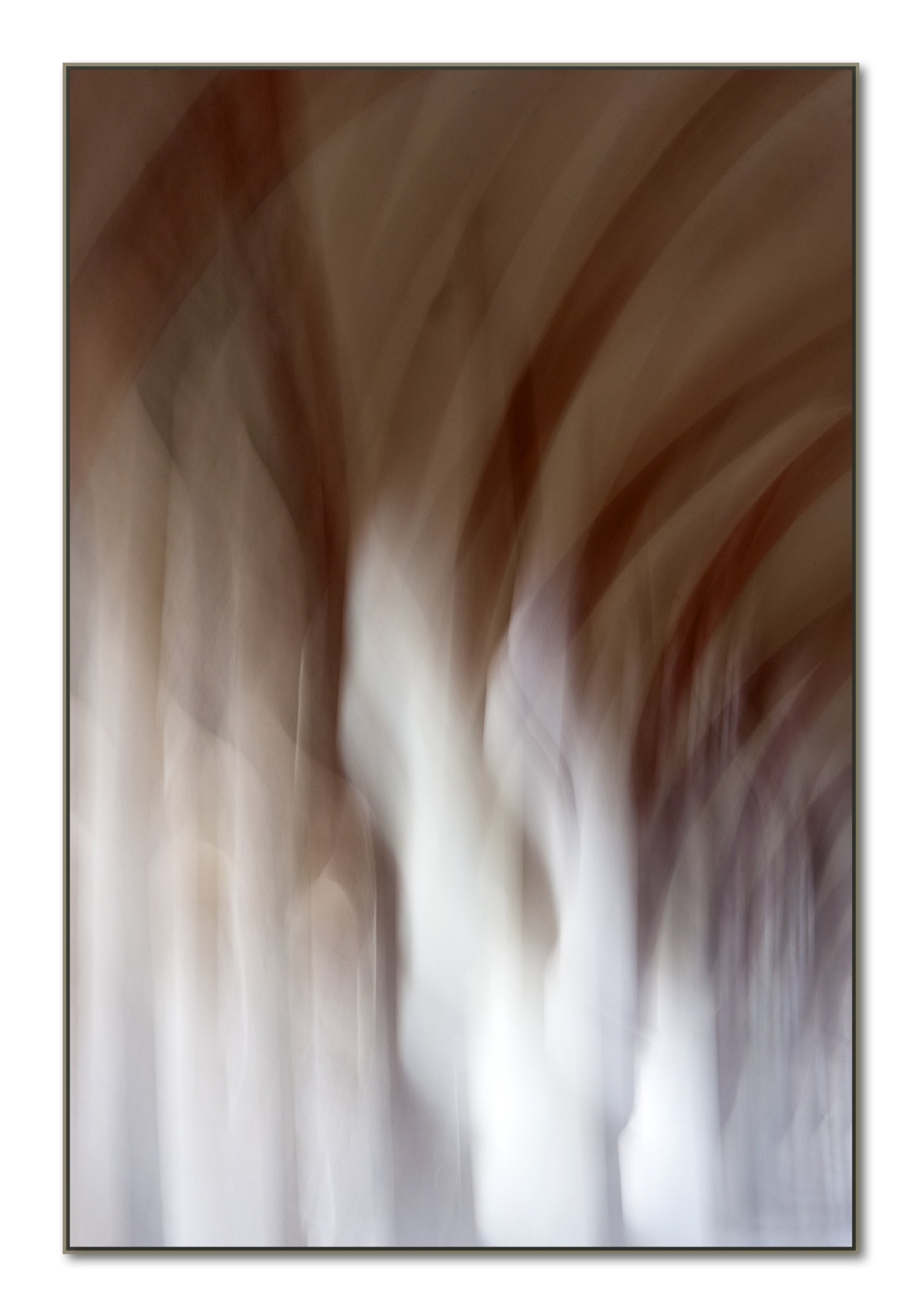 Interior Editions